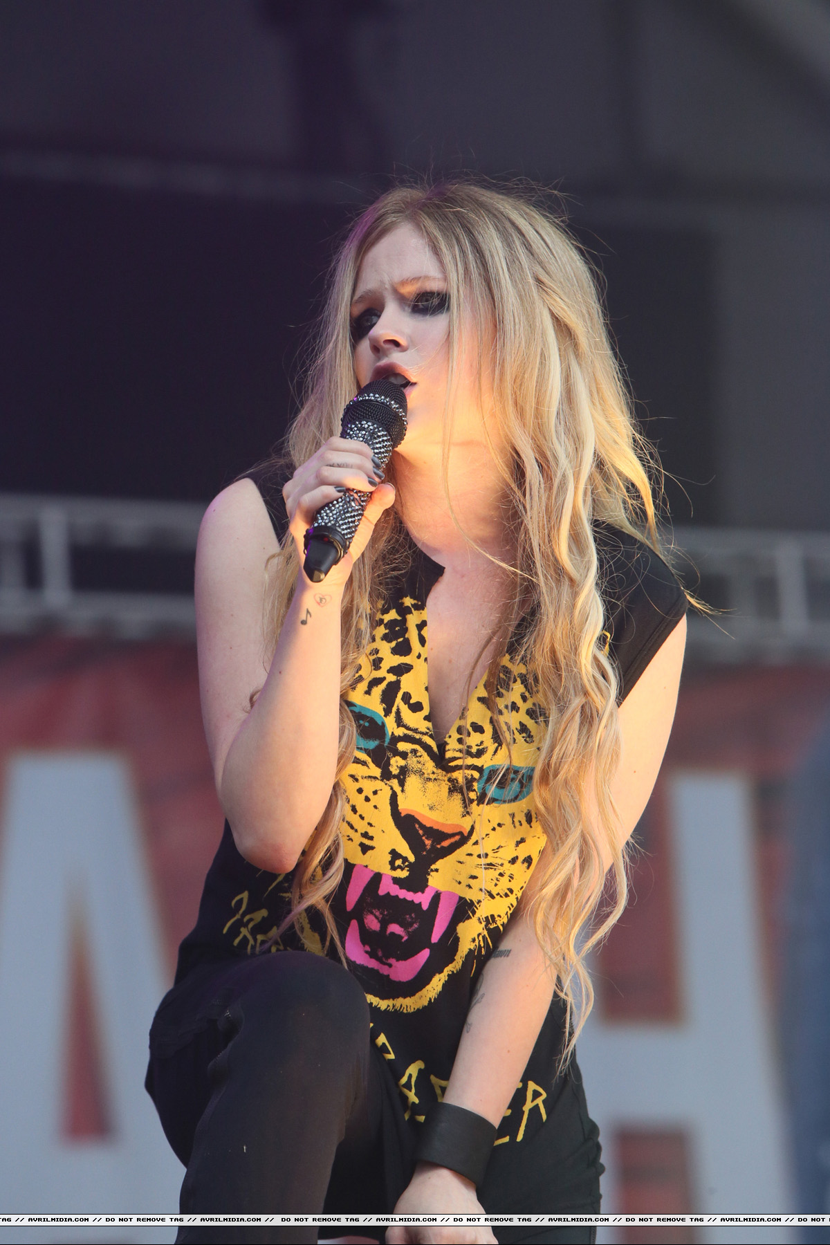 avrilmidia_summerbash05.jpg