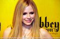 0ABBEYDAWN_PURE_avrilmidia_281429.jpg