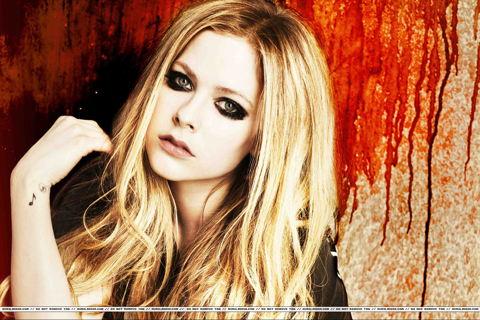 avrilmidia_avrilfoundation002.jpg